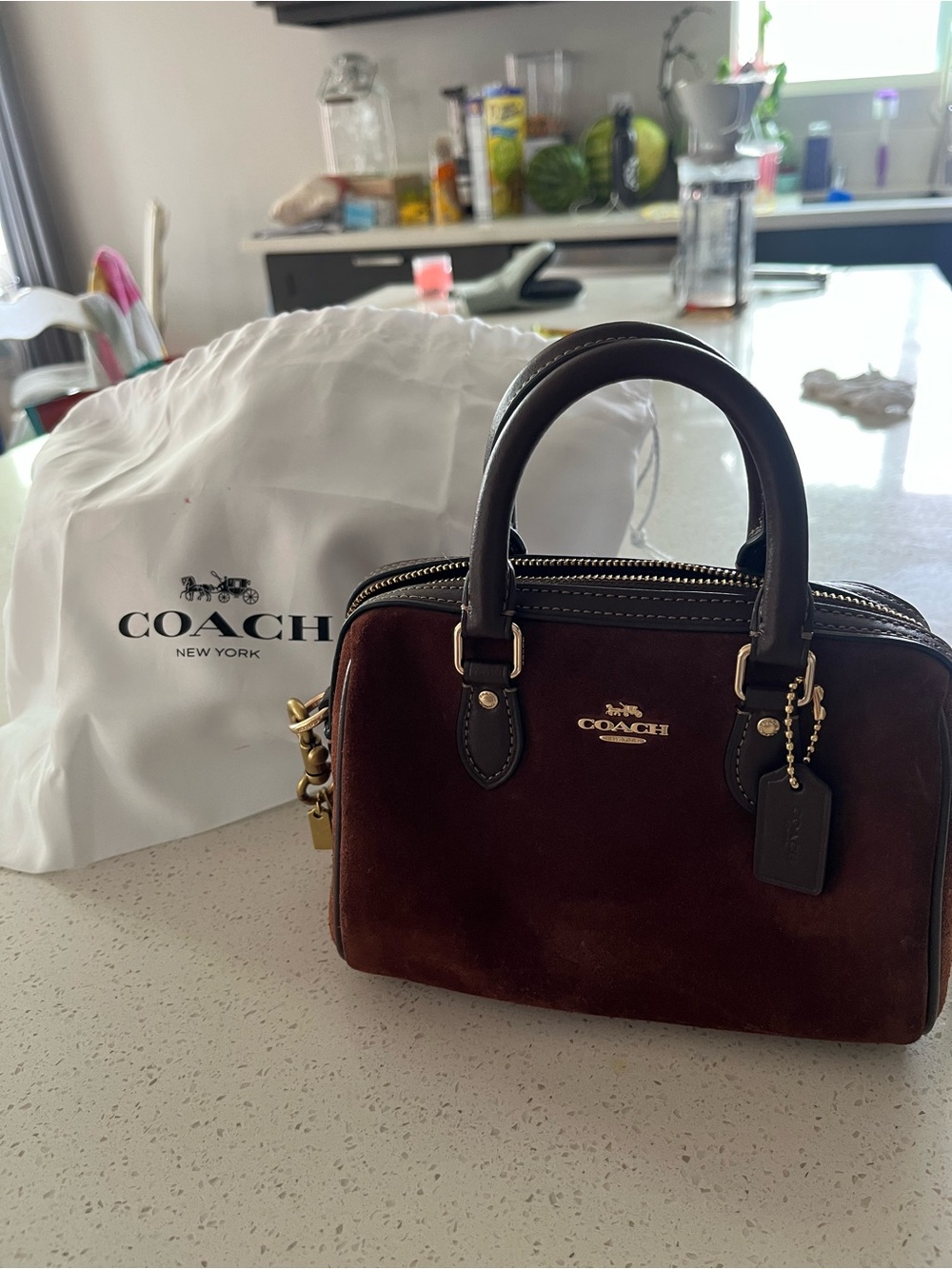 COACH Mini Satchel in Dark Brown Suede with Dark Leather Trim